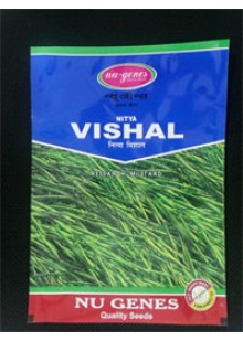 Nitya Vishal Mustered